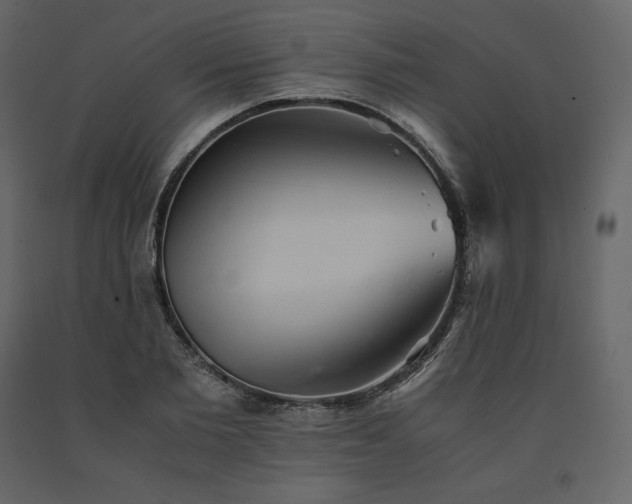 X0000091550885200708241753