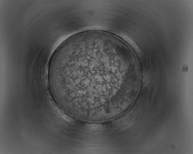 X0000091550886200708241753