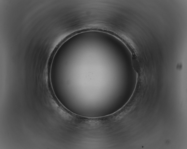 X0000091550888200708241753