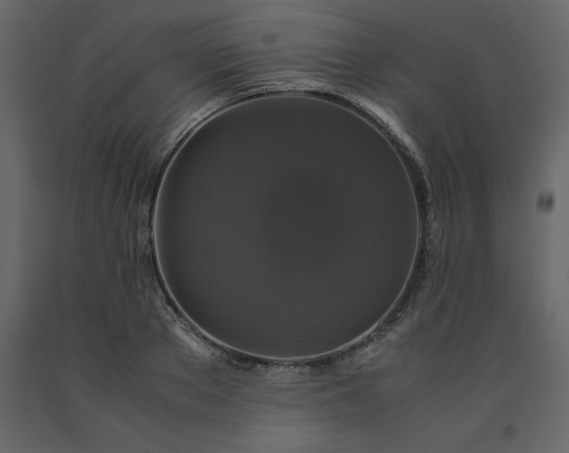 X0000091550889200708241753