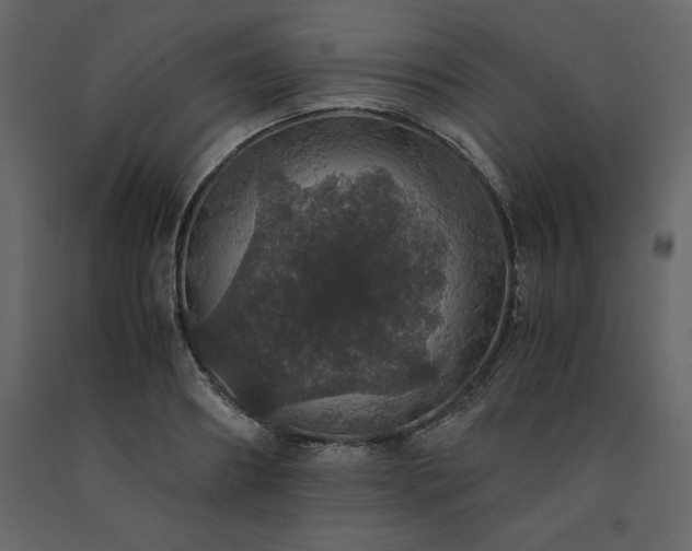 X0000091550890200708241753