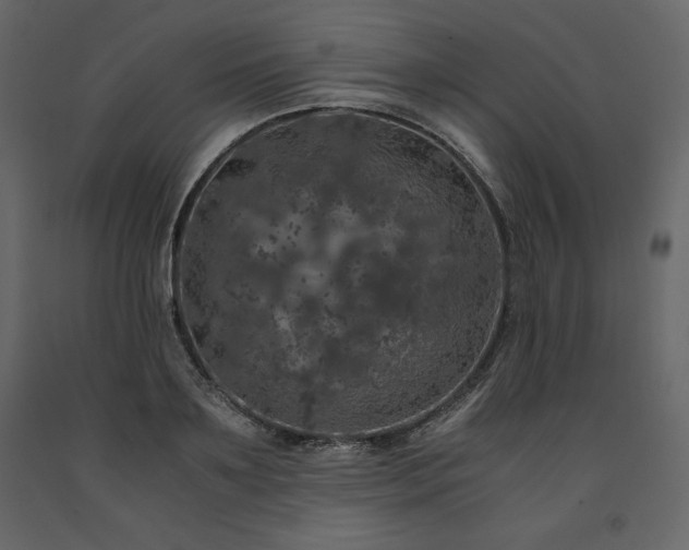 X0000091550891200708241753