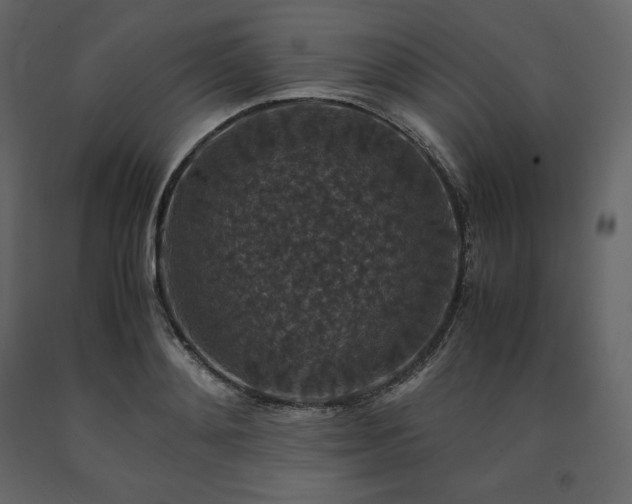 X0000091550892200708241753