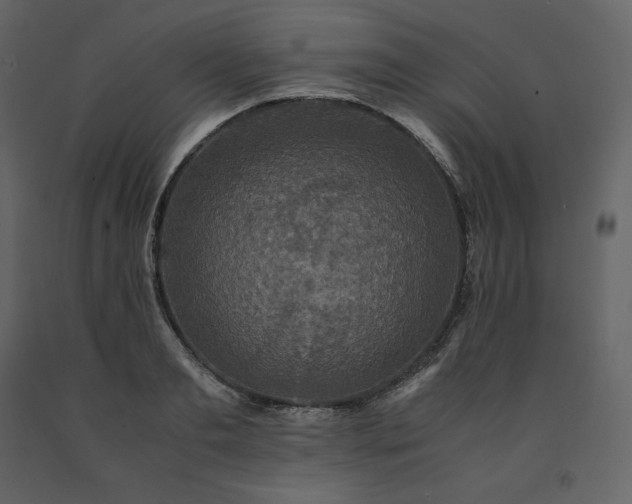 X0000091550893200708241753
