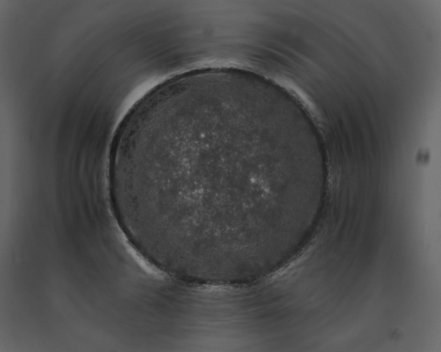 X0000091550894200708241753