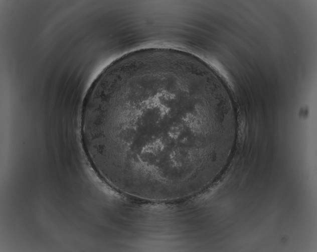 X0000091550896200708241752