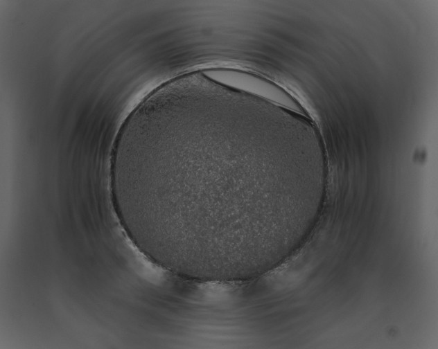 X0000091550898200708241752