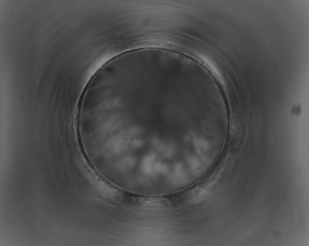X0000091550899200708241752