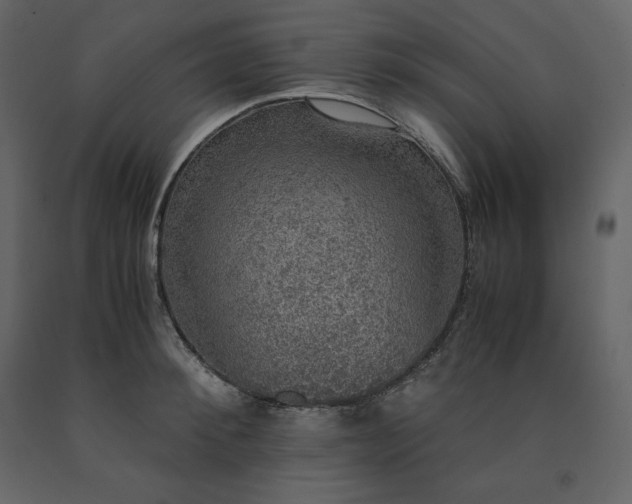 X0000091550900200708241752
