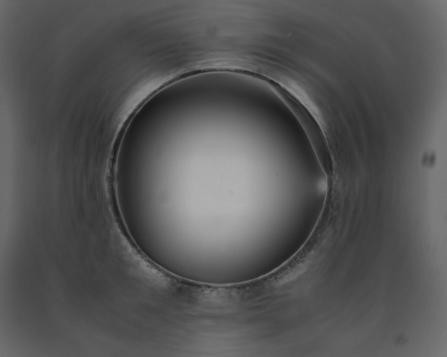 X0000091550901200708241752