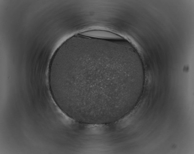 X0000091550902200708241752