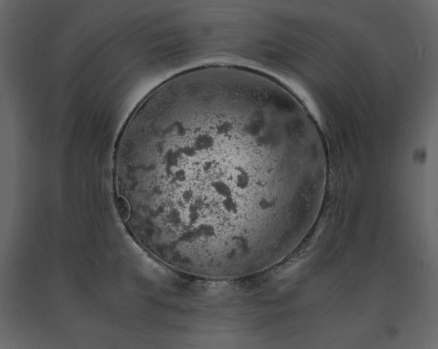 X0000091550903200708241752
