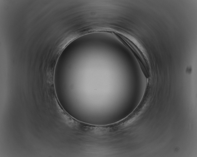 X0000091550905200708241752