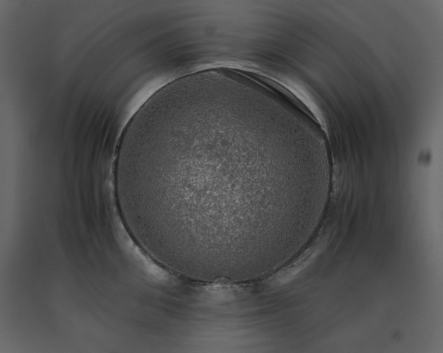 X0000091550906200708241752