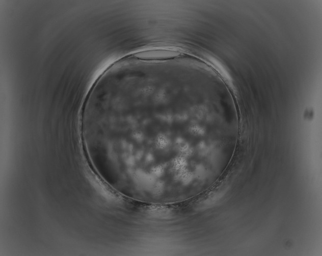 X0000091550907200708241752