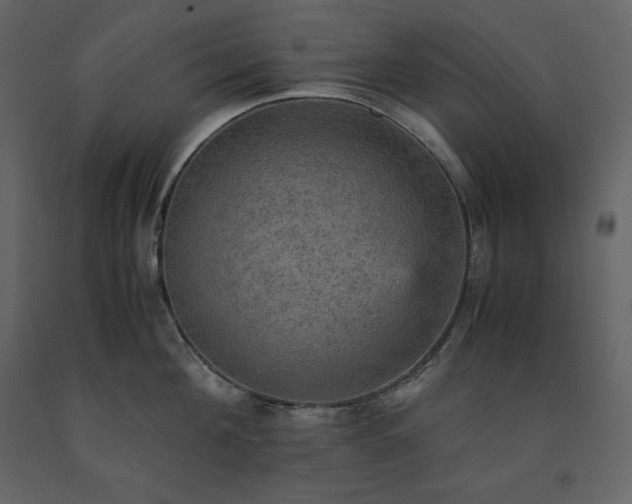 X0000091550908200708241752