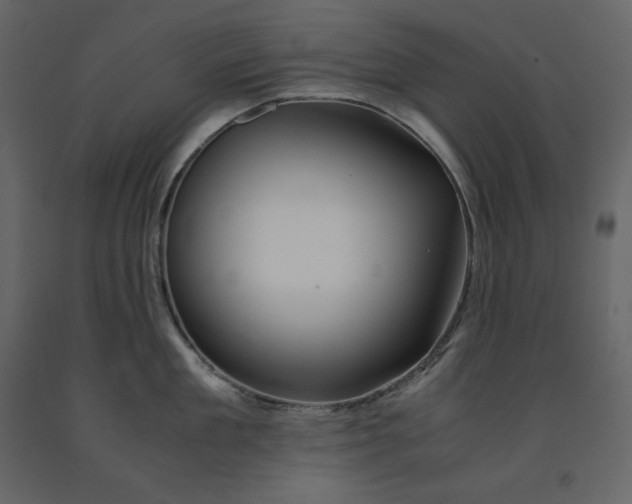 X0000091550909200708241752