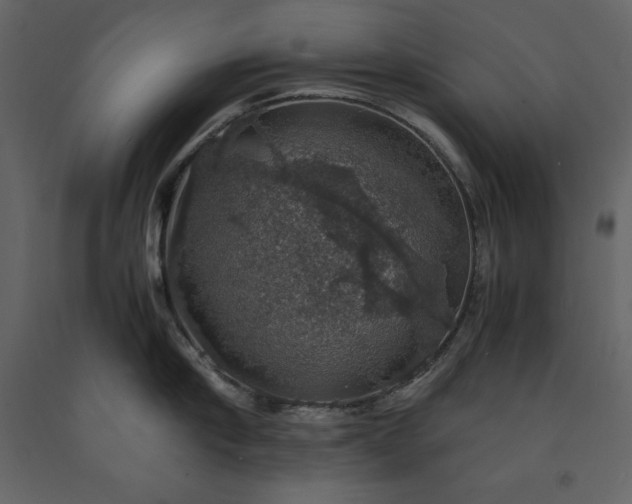 X0000091550910200708241752