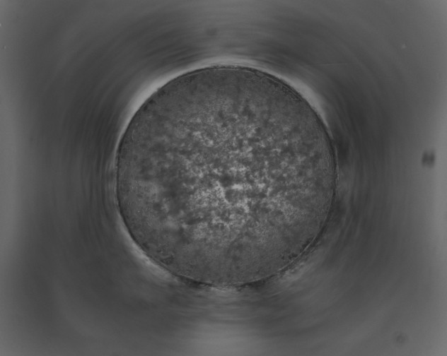 X0000091550911200708241752