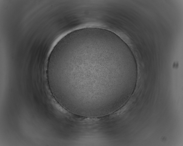 X0000091550912200708241752