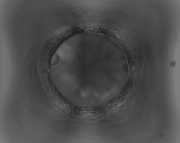 X0000091550913200708241751