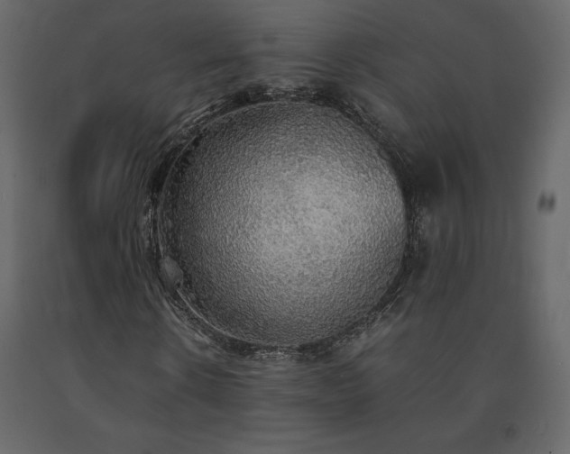 X0000091550914200708241751