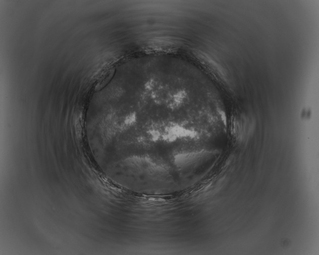 X0000091550915200708241751