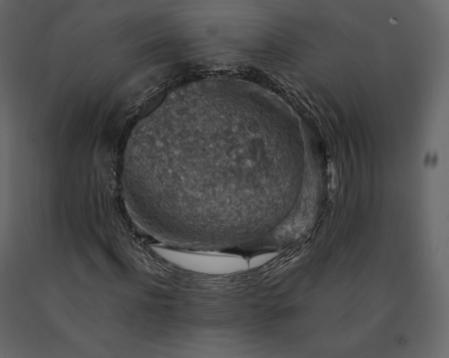 X0000091550916200708241751