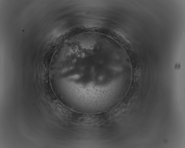 X0000091550917200708241751