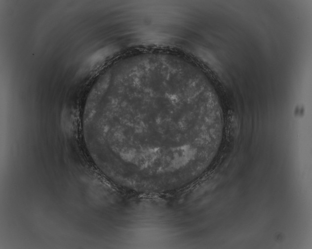 X0000091550918200708241751