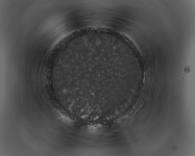 X0000091550919200708241751