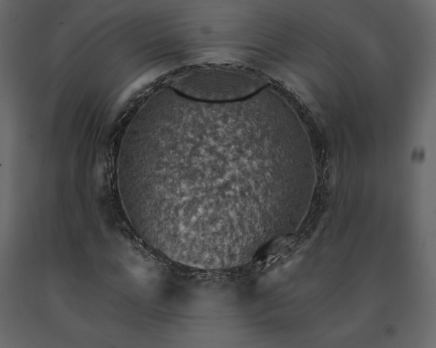 X0000091550920200708241751