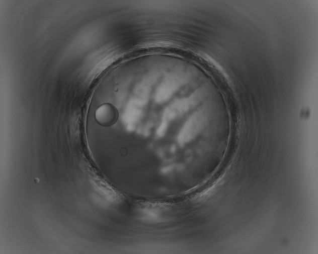 X0000091550921200708241751