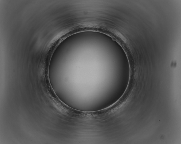 X0000091550922200708241751