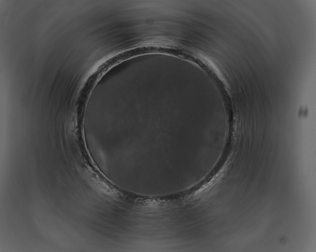 X0000091550923200708241751