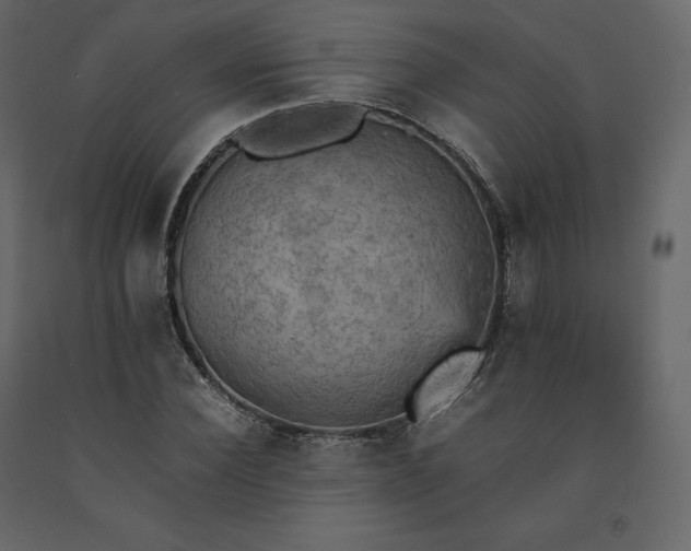 X0000091550924200708241751