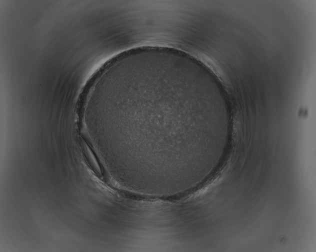 X0000091550926200708241752