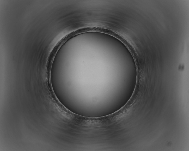 X0000091550927200708241752