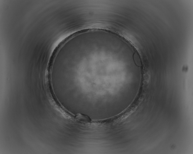 X0000091550928200708241752