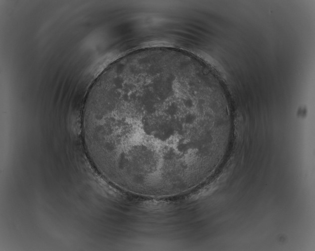 X0000091550929200708241752