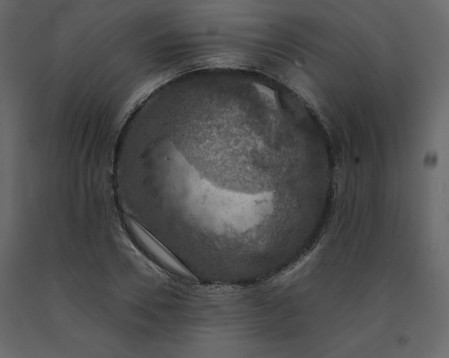 X0000091550930200708241752