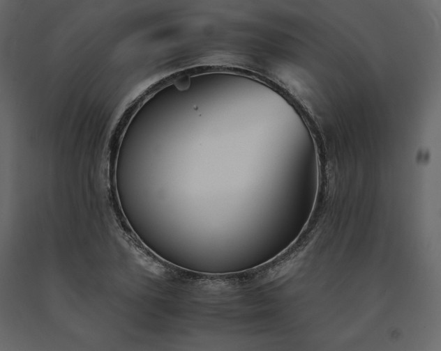 X0000091550931200708241752