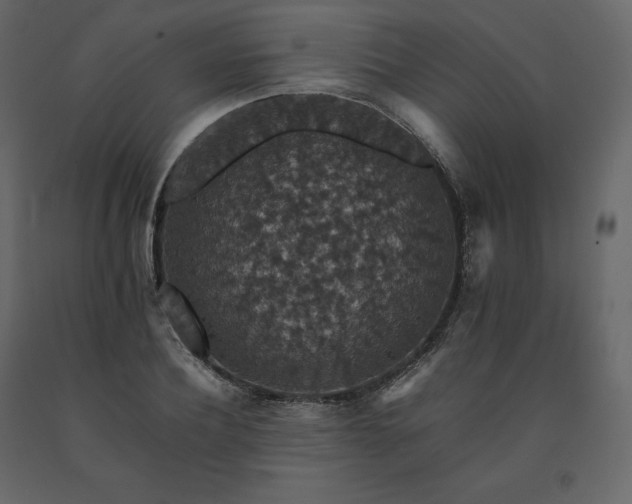 X0000091550932200708241752