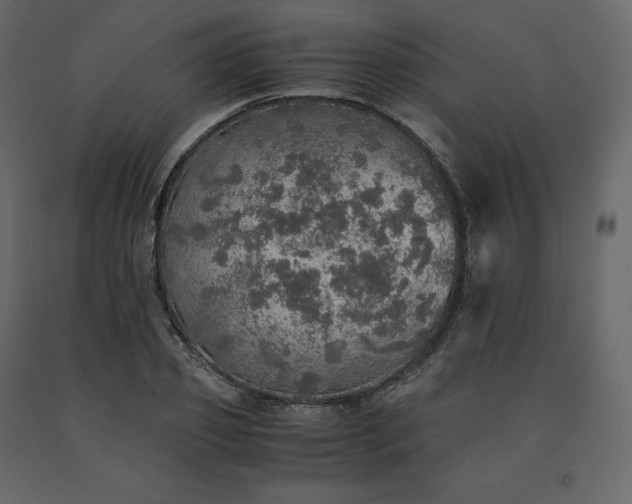 X0000091550933200708241752
