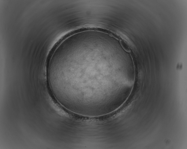 X0000091550934200708241752