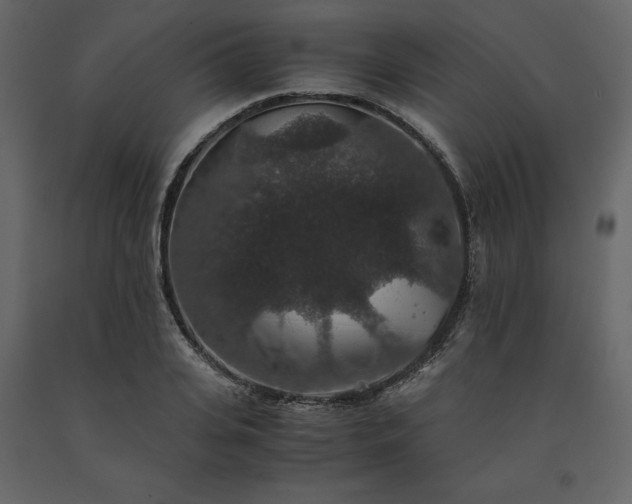 X0000091550935200708241752
