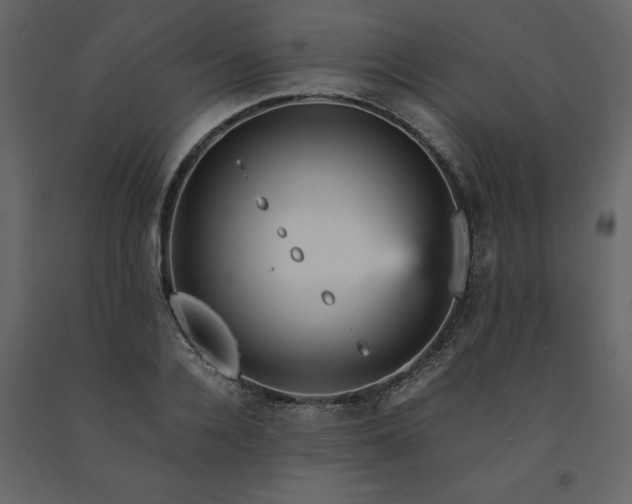 X0000091550936200708241752