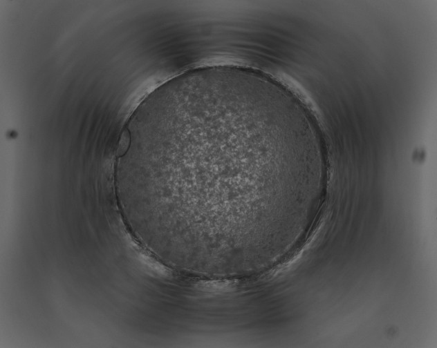 X0000091550937200708241752