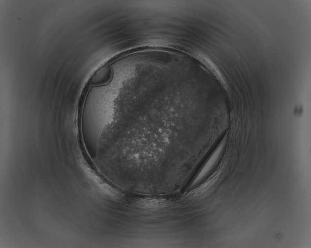 X0000091550939200708241752