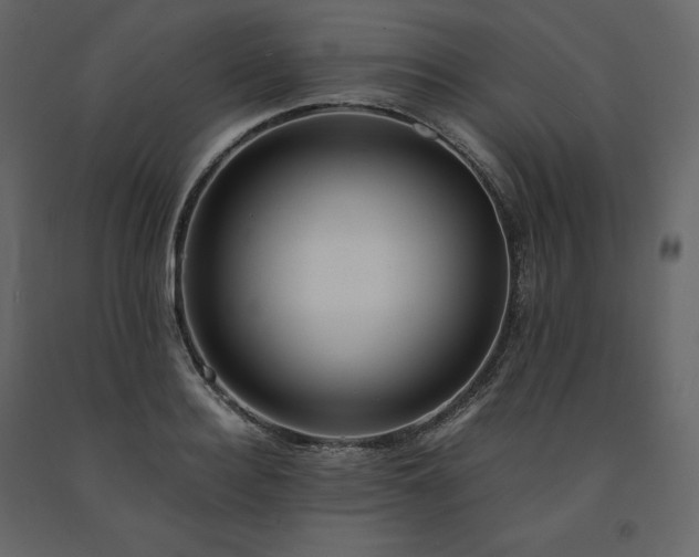 X0000091550940200708241752